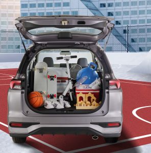 Storage All New Xenia