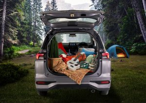 Luggage All New Xenia